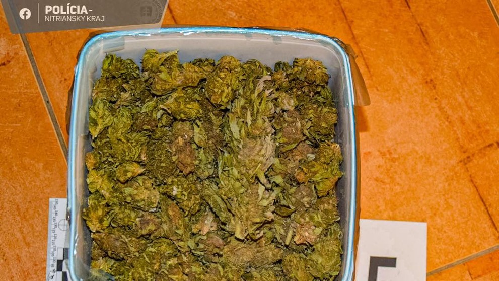 Čo zaistili policajti