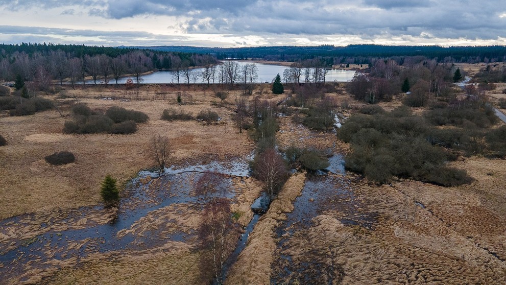 Mokrade vytvorené bobrami žijúcimi v oblasti Padtrťských jazier.