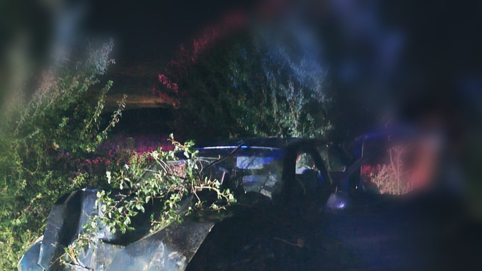 Nehoda si vyžiadala tri obete, z toho dve deti.