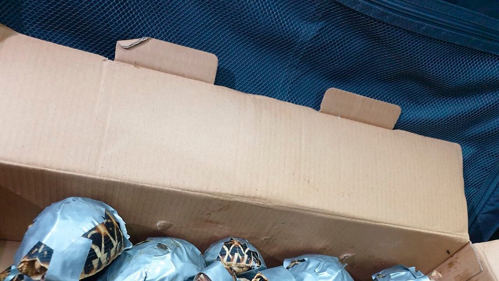 Nehoda dvoch vlakov v Česku