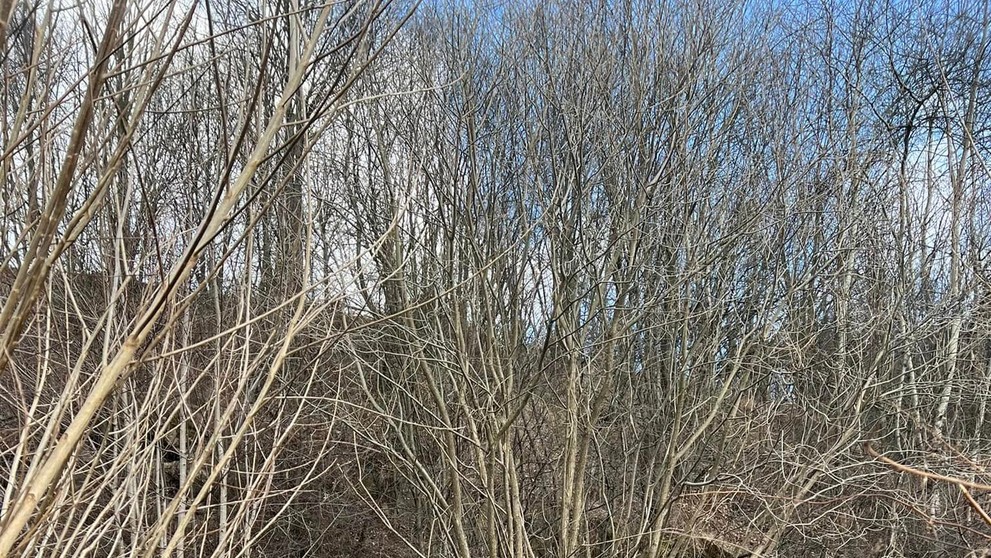 Zosunutý svah v obci Kolačkov.