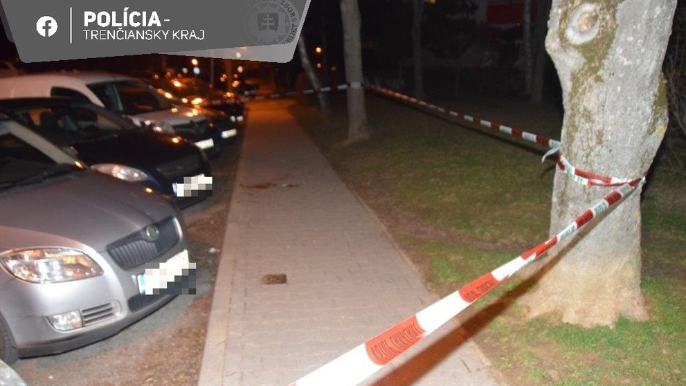 Pes počas venčenia napadol v Trenčíne okoloidúcu ženu.