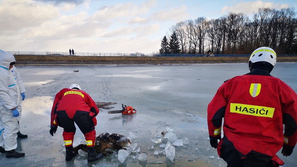 Akcia bola náročná.