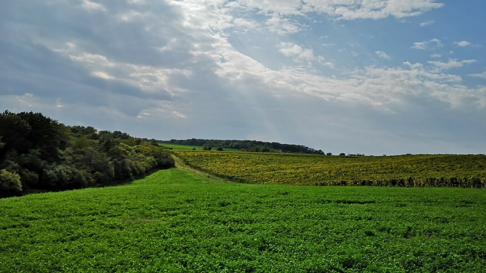 turecko_tvnoviny.mp4