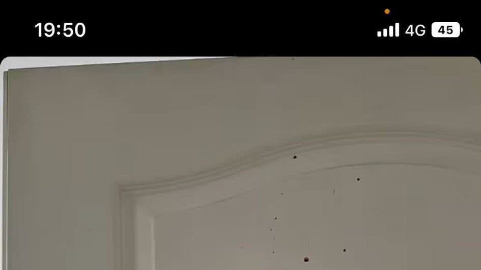 Týranie influencerky