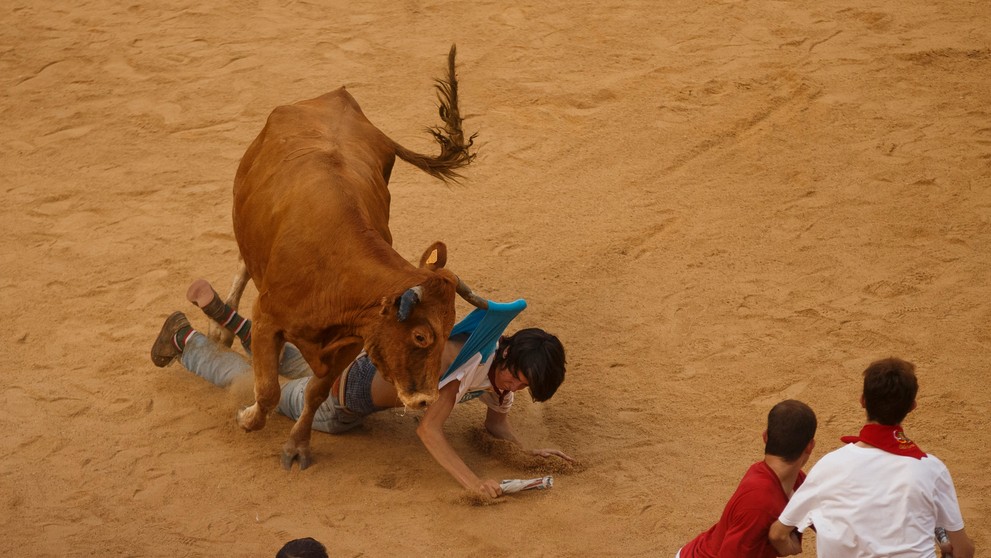 Býky na tradičnom behu v Pamplone zabíjali.