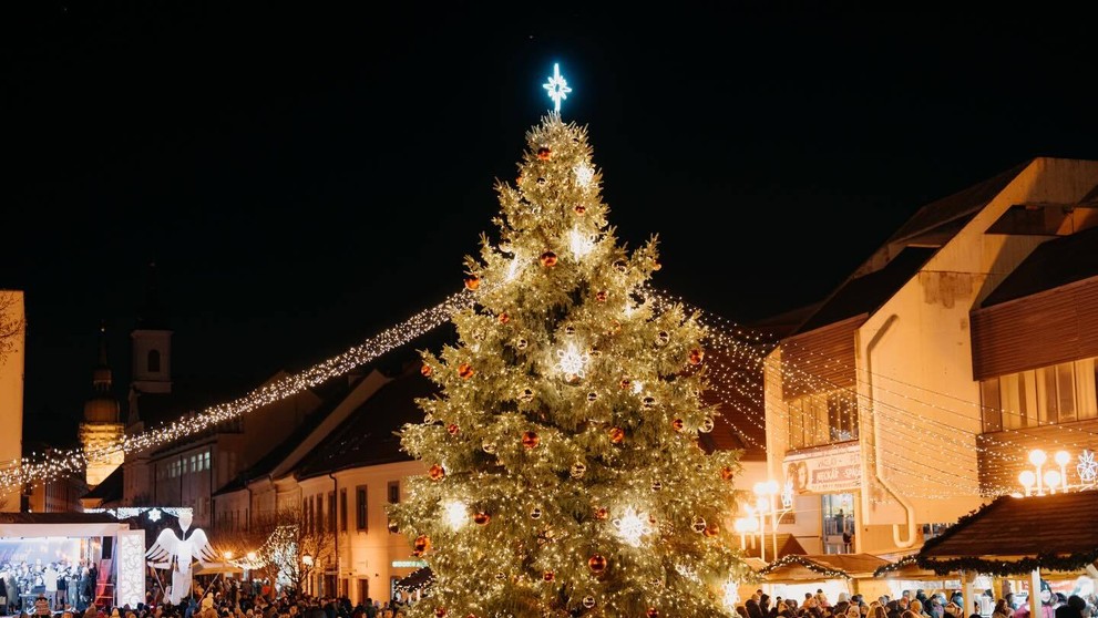 Stromček na námestí v Trnave