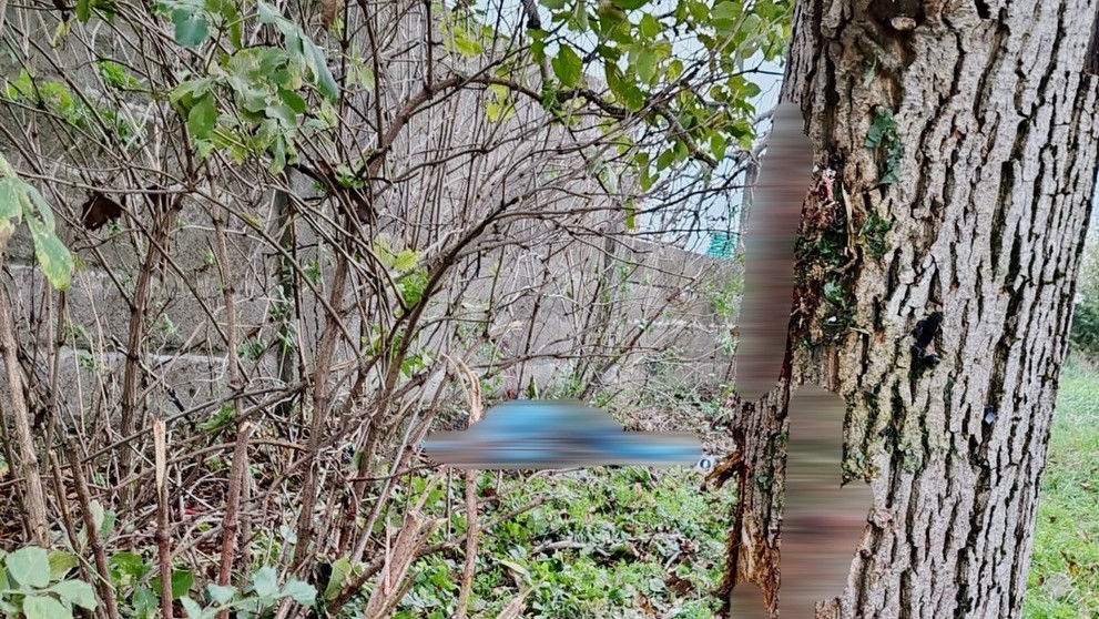 Následky nehody na ceste medzi Komárnom a obcou Zlatná na Ostrove.