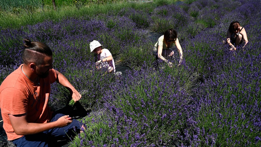 Cennet: 63. epizóda