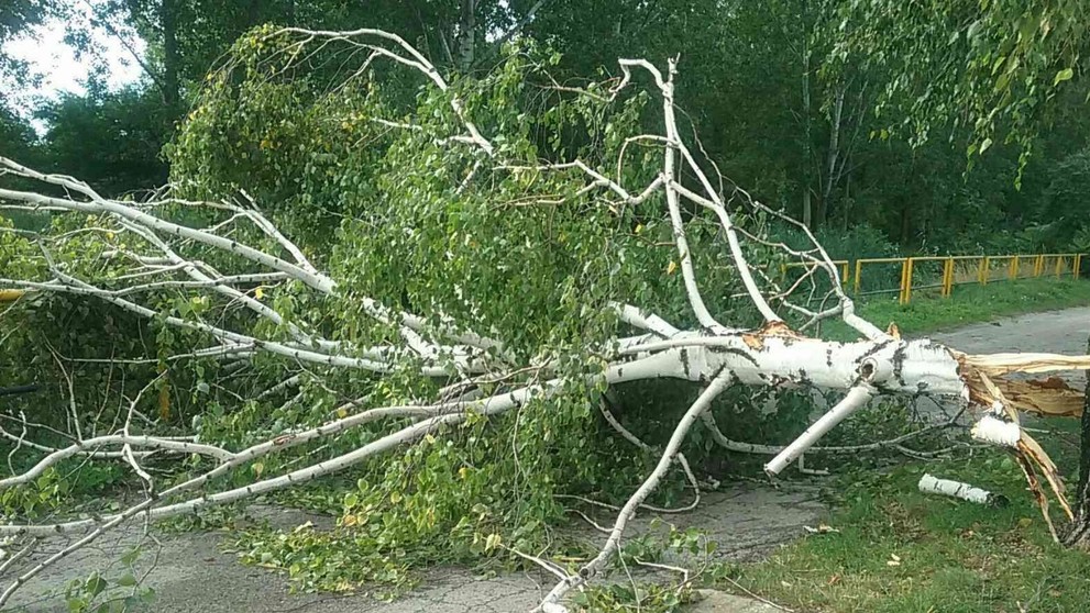 Budúci bývalí manželia zostali priateľmi. 