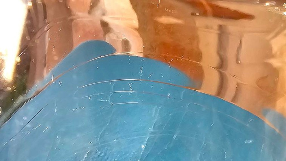 Strehúň škvrnitý