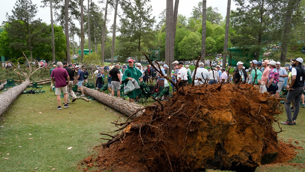 Pád stromov na golfovom turnaji v USA