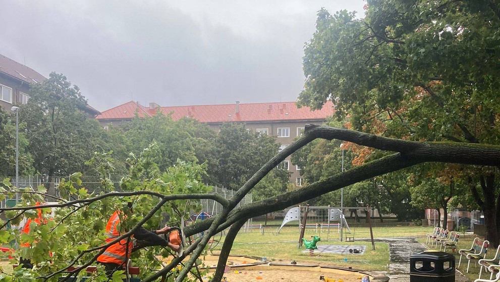 Popadané stromy v bratislavskom Novom Meste.