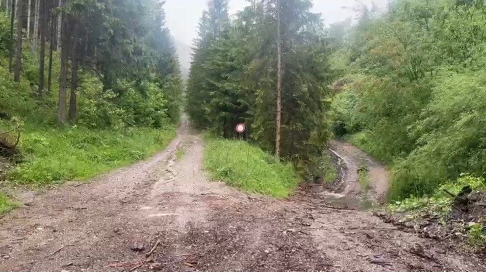 V doline pod Liptovským hradom napadol medveď lesného pracovníka.