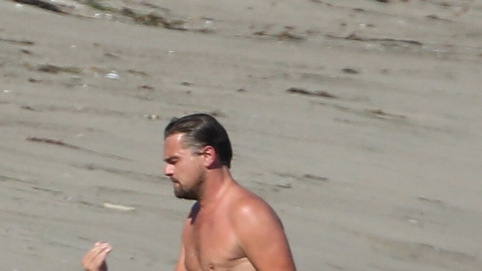 Leonardo DiCaprio