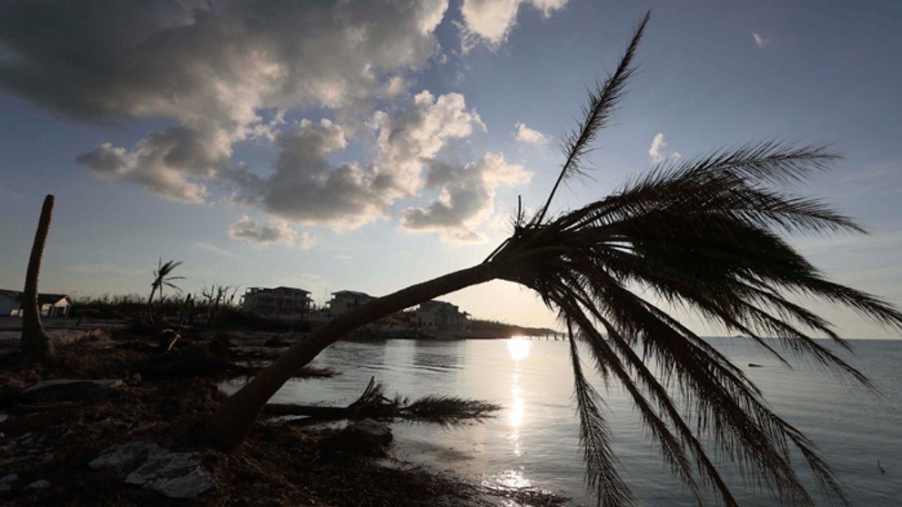 19_brixova_tvnoviny.mp4