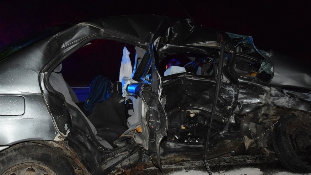 Medveď ťahá kontajner.