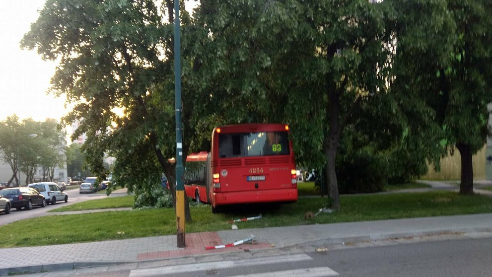 Autobus bez kontroly zastavili až stromy.