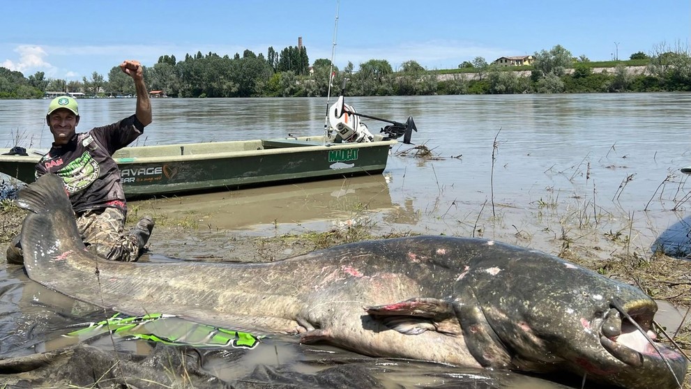 Talian chytil rekordného sumca.