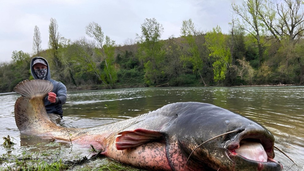 Francúz chytil rekordného sumca.