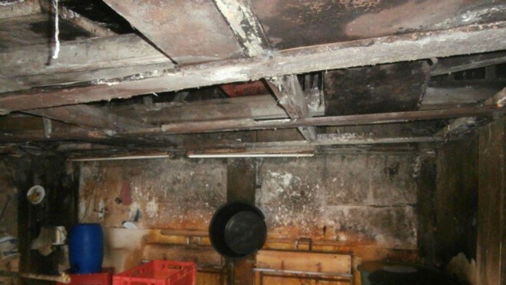 Výrobňa tofu v Česku