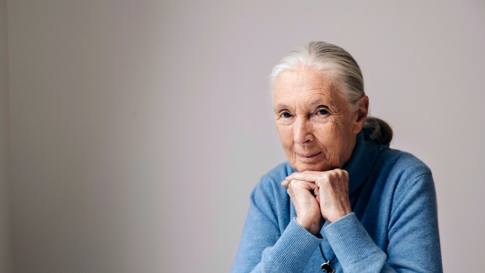 Jane Goodall