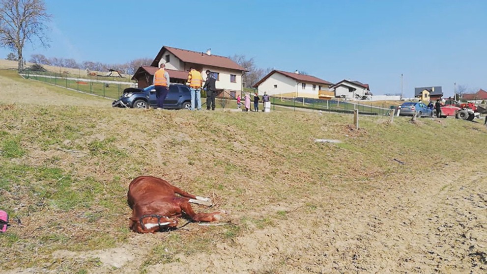 Nehoda auta s koňom v Motešiciach.