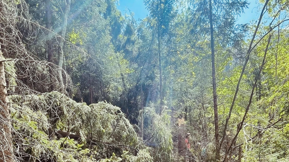 Lavínový nános v Monkovej doline