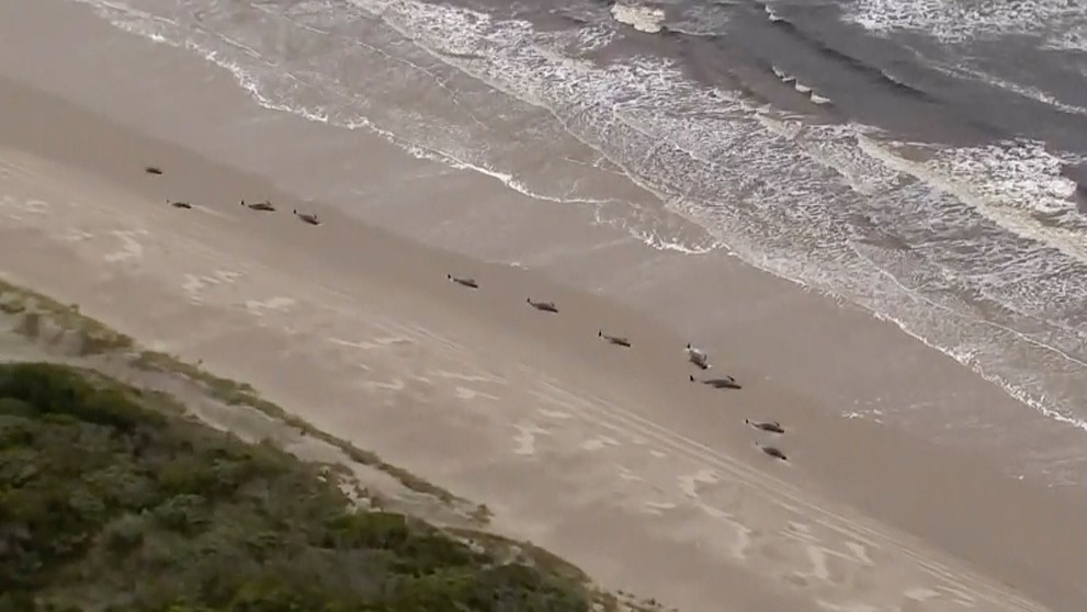 tlacovka dochodky_tvnoviny.mp4