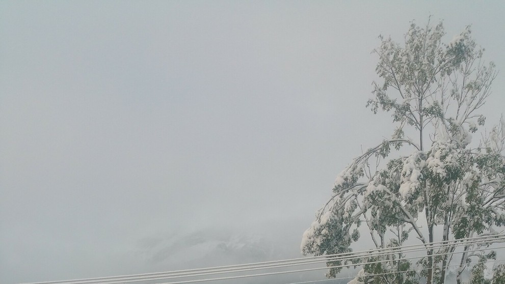 Ždiar - Belianske Tatry 