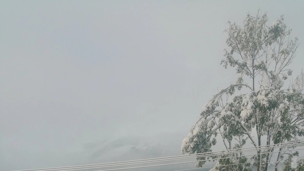 Ždiar - Belianske Tatry 