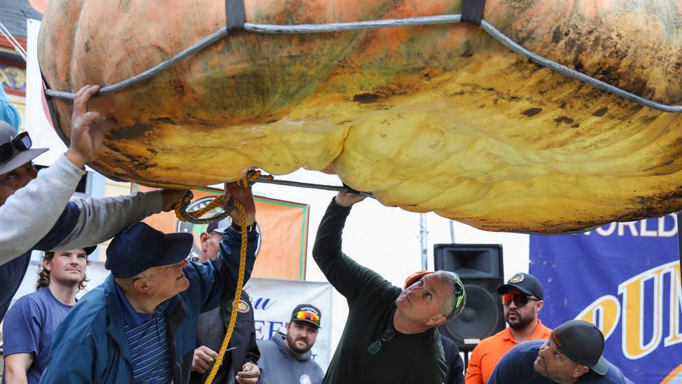 Porotcovia skúmajú rekordnú tekvicu