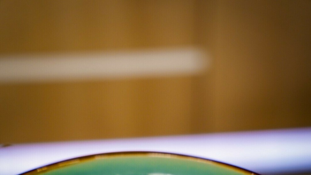 Grilovaná bravčová panenka s kelom