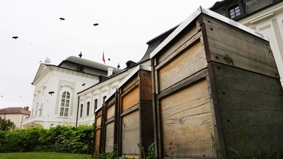 Štyri včelie rodiny v Prezidentskom paláci