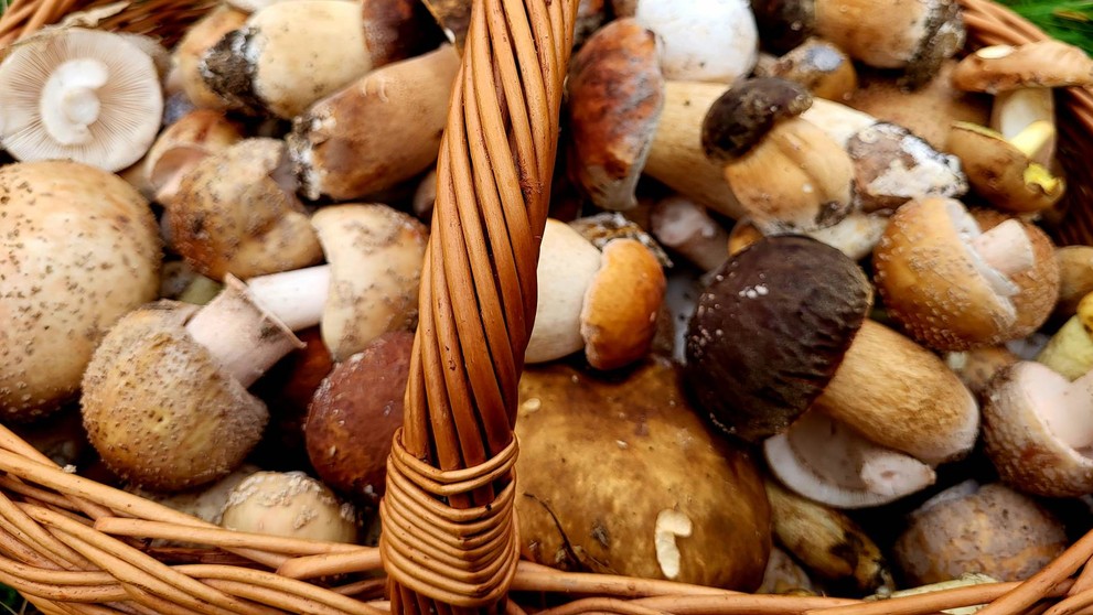 Jozef z Bánoviec nad Bebravou