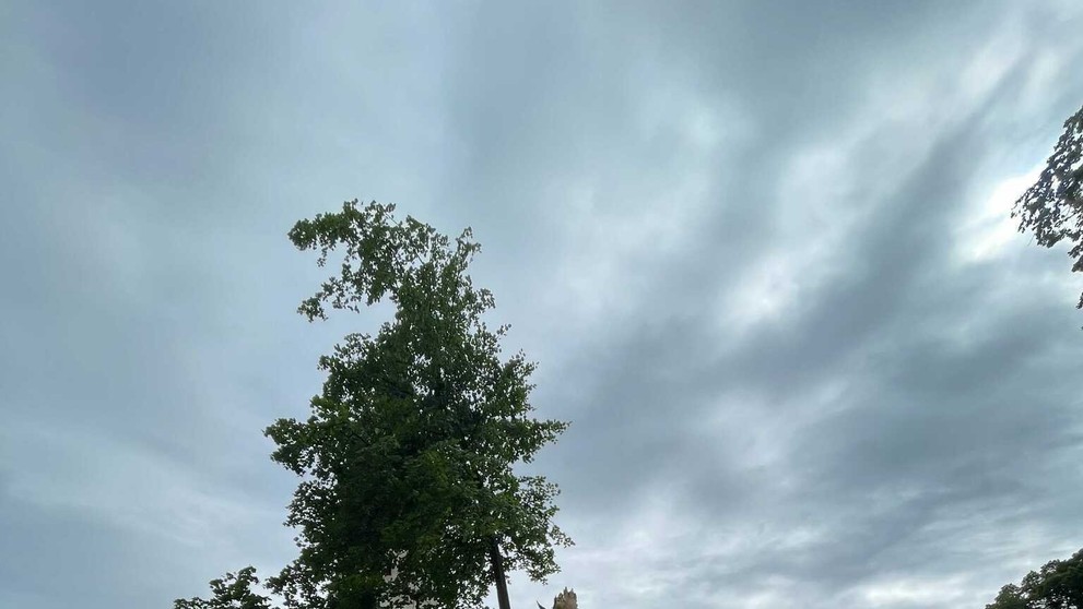 Veľká lipa mala 460 rokov.