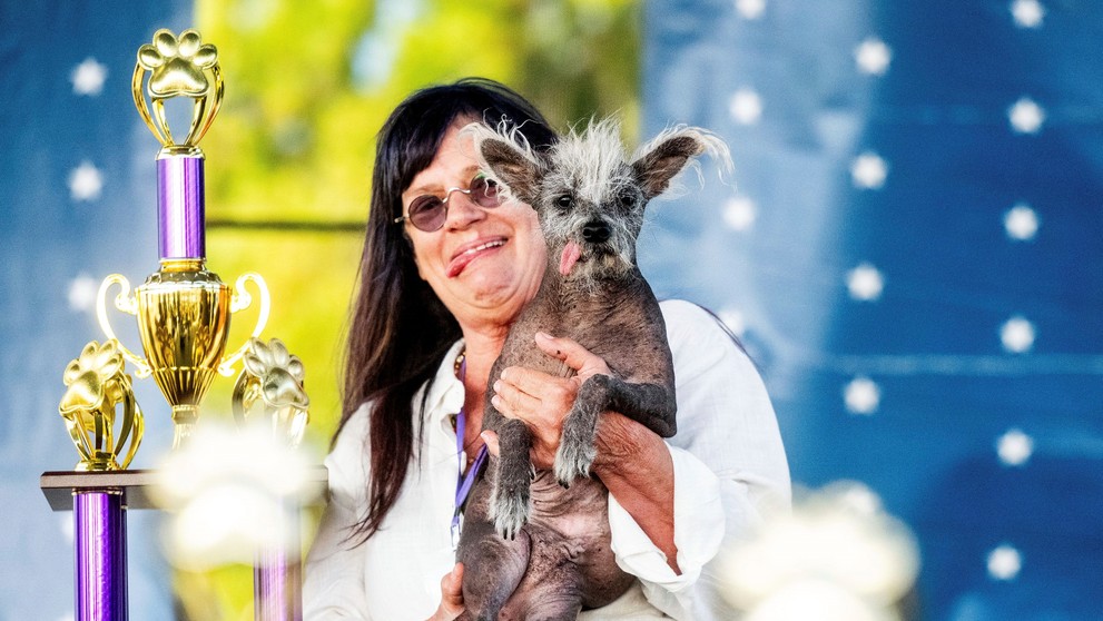 Scooter s paničkou.