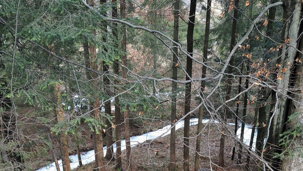 Zranený traktorista v Skalitom po nehode nafúkal viac ako dve promile