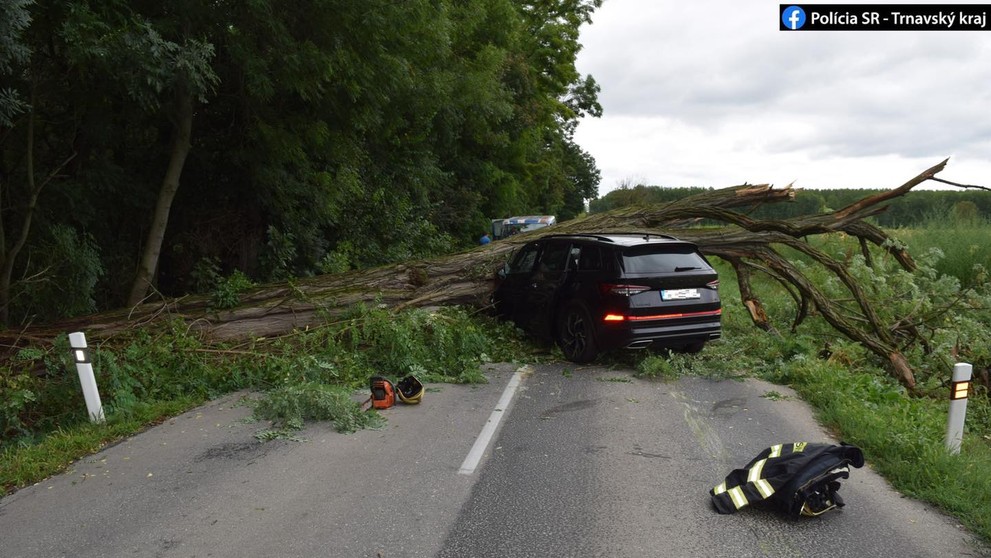 Na auto padol strom.