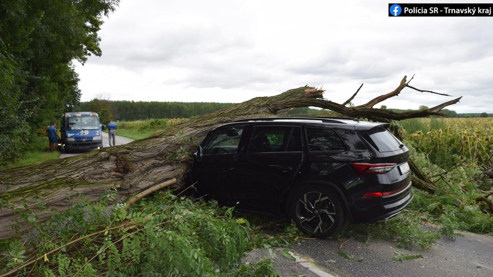 Na idúce auto spadol strom.