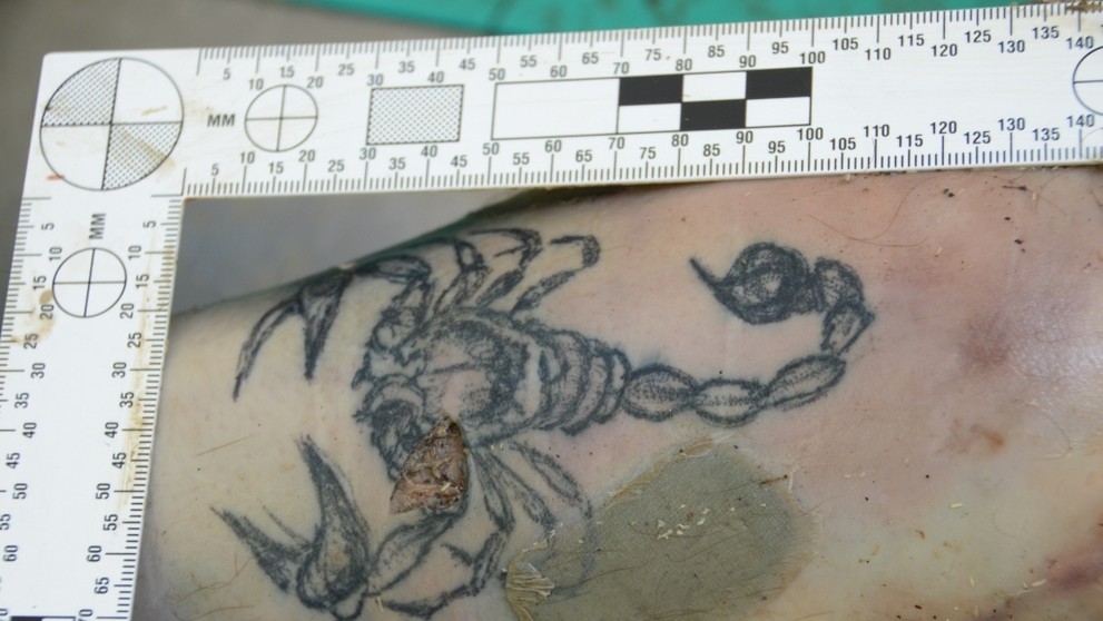 Tetovanie - škorpión