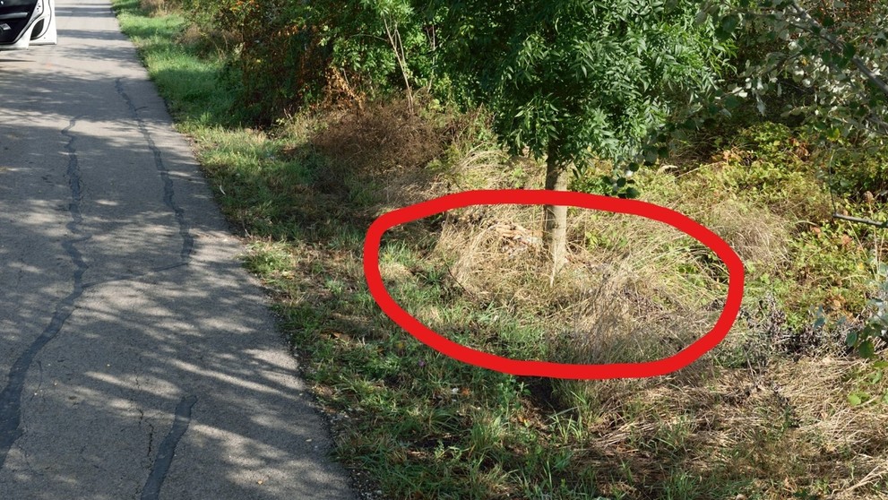 Rasťo Mojsej a Rado Dulin