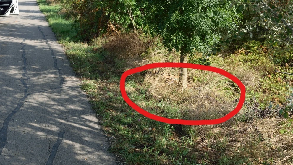 Rasťo Mojsej a Rado Dulin