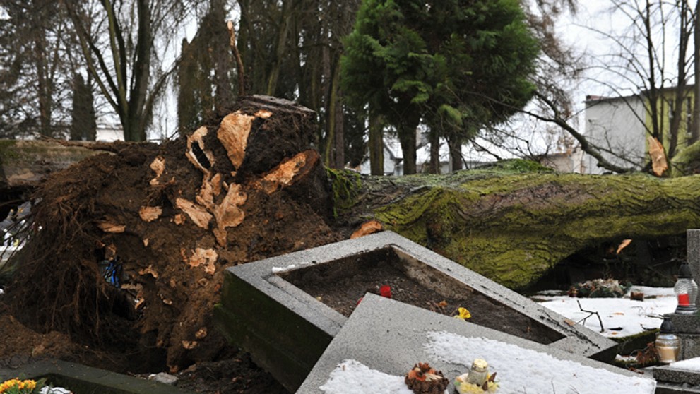 Vyvrátený strom a poškodený hrob na Národnom cintoríne v Martine po veternej smršti.