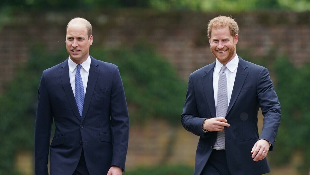 Princovia Harry a William