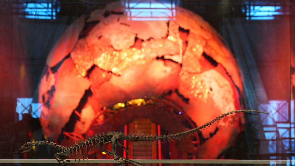 Nový druh dinosaura