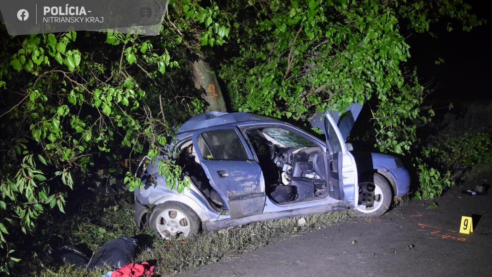 Tragická nehoda pri Šali
