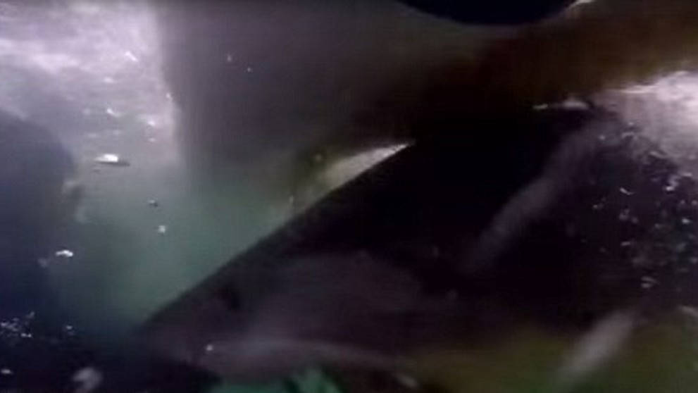 Zážitok, na ktorý tak ľahko nezabudnú. 