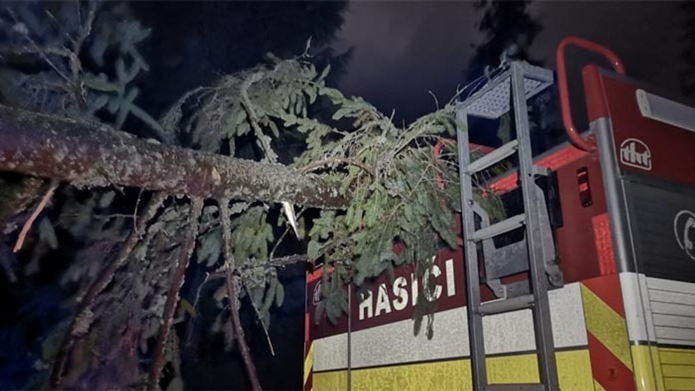 VID_20191112_215654.mp4