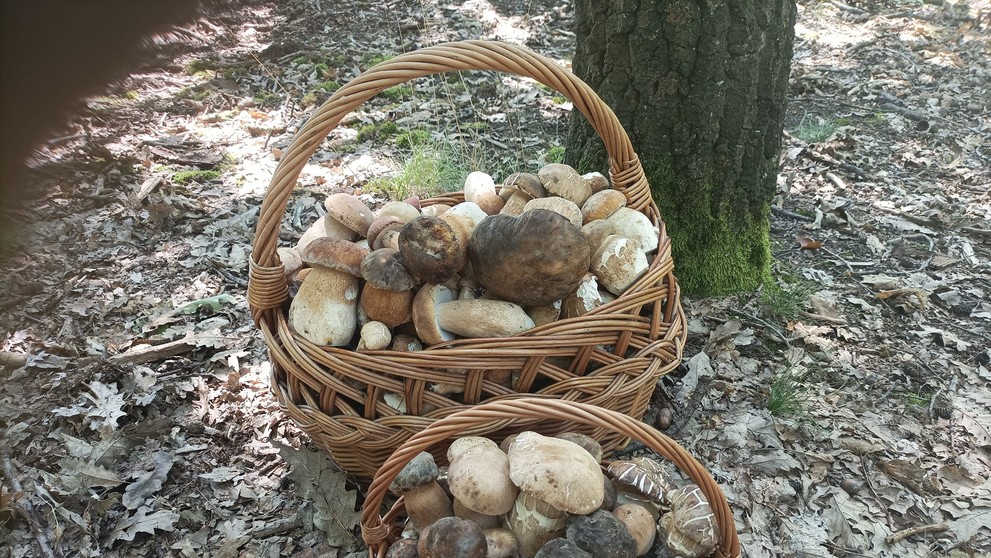 Aj zlatomoravecké hory majú čo ponúknuť. Odfotil Ľuboš Novosád.